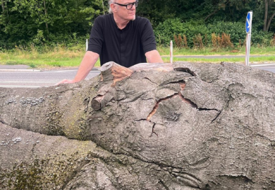 Kölner Künstler Bernd Reiter verwandelt gefällten Landmarken-Baum in Mahnmal